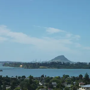 Up In The Stars Tauranga